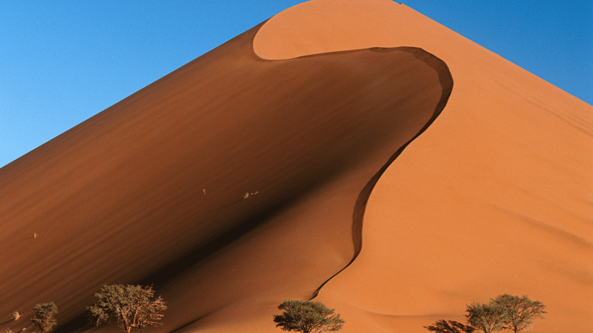 10 Days Fly in Safari to Namibia's Most Remote Dunes and Deserts